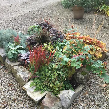 Bed and Breakfast Chateau De Beaulieu Saint-Sauveur-le-Vicomte